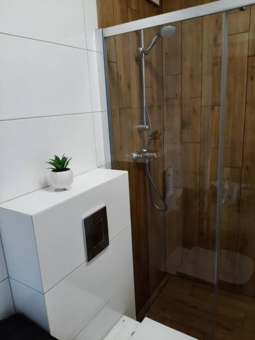 Przy Plazy Apartmán Gdaňsk
